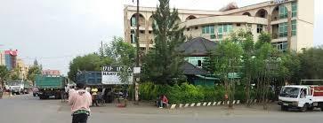 Dangila