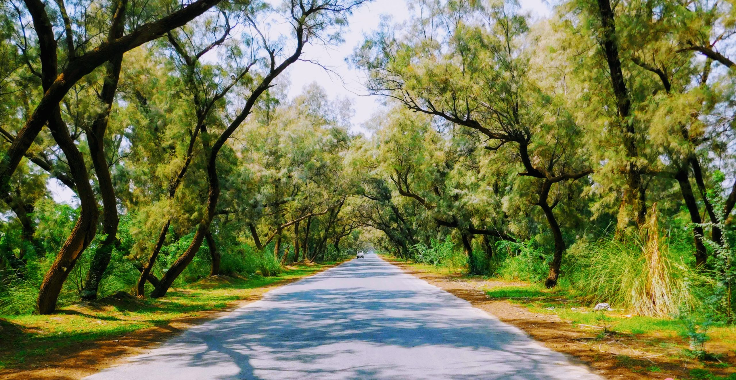 Khushab