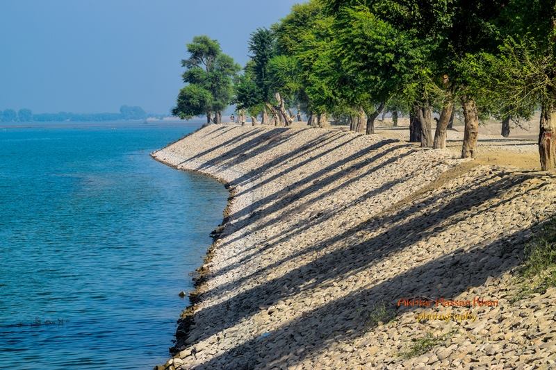 Kot Addu